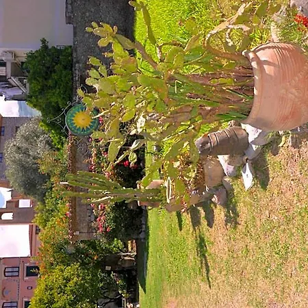Del Sole Al Plebiscito Otel Sapri