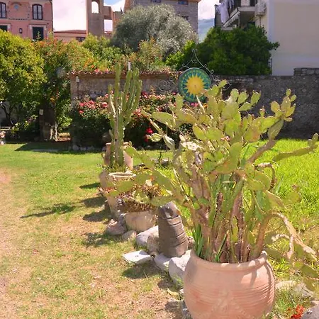 Del Sole Al Plebiscito